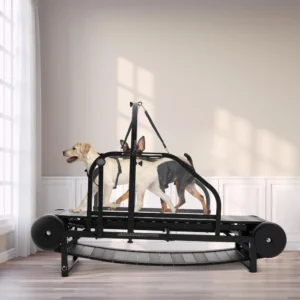 Dog Treadmill for Dogs